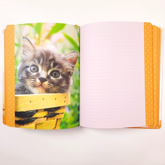 Cat Lover's Devotional Journal - Picture 4 of 8